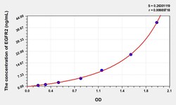 BIOHIPPO&nbsp;Rat EGFR2 Microsample