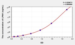 BIOHIPPO&nbsp;Mouse LPIN1 Microsample