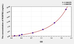 BIOHIPPO&nbsp;Human RCBTB2 Microsample