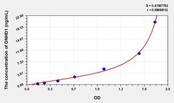 BIOHIPPO&nbsp;Human DNHD1 Microsample