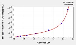 BIOHIPPO&nbsp;Human CGRP2 Microsample