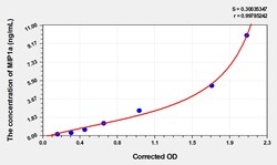 BIOHIPPO&nbsp;Rat MIP1a Microsample