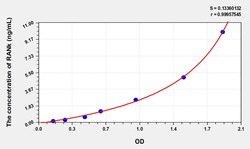 BIOHIPPO&nbsp;Rat RANk Microsample