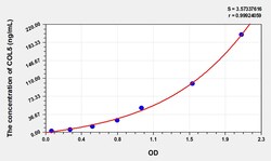 BIOHIPPO&nbsp;Human COL5 Microsample
