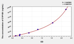 BIOHIPPO&nbsp;Human CYP1B1 Microsample