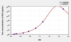 BIOHIPPO&nbsp;Rat ZP2 Microsample