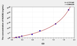 BIOHIPPO&nbsp;Rat NUCB2 Microsample