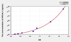 BIOHIPPO&nbsp;Human HPCAL1 Microsample