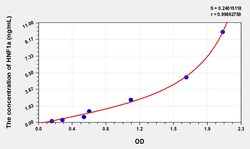 BIOHIPPO&nbsp;Human HNF1a Microsample