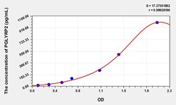BIOHIPPO&nbsp;Human PGLYRP2 Microsample
