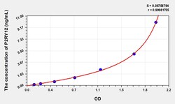BIOHIPPO&nbsp;Human P2RY12 Microsample