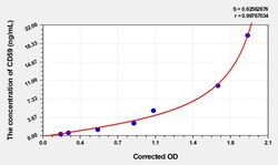 BIOHIPPO&nbsp;Human CD59 Microsample