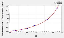 BIOHIPPO&nbsp;Human Collagenase Microsample