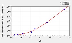 BIOHIPPO&nbsp;Human NPTX1 Microsample