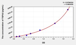 BIOHIPPO&nbsp;Human TGFb2 Microsample