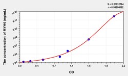 BIOHIPPO&nbsp;Rat MYH6 Microsample