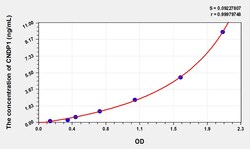 BIOHIPPO&nbsp;Human CNDP1 Microsample
