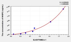 BIOHIPPO&nbsp;Rat WISP2 Microsample