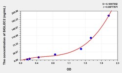 BIOHIPPO&nbsp;Human SIGLEC2 Microsample