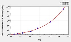 BIOHIPPO&nbsp;Human VNN1 Microsample