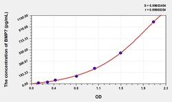 BIOHIPPO&nbsp;Mouse BMP7 Microsample