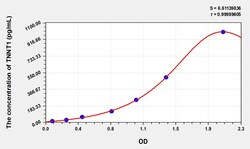 BIOHIPPO&nbsp;Human TNNT1 Microsample