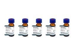 Boston Bioproducts Inc&nbsp;Rifampicin (50 mg/ml, DMSO) - 5x1ml