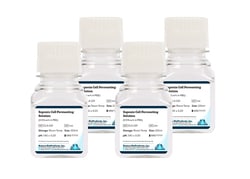 Boston Bioproducts Inc&nbsp;Saponin Cell Permeating Solution (0.5% w/v in PBS) - 4x100ml