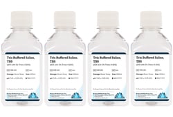 Boston Bioproducts Inc&nbsp;Tris Buffered Saline, TBS (10X with 1% Triton X-100) - 4x500ml