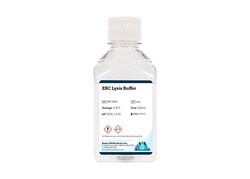 Boston Bioproducts Inc&nbsp;EBC Lysis Buffer - 500ml