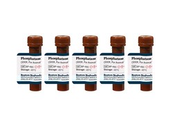 Boston Bioproducts Inc&nbsp;Phosphatase Inhibitor Cocktail (100X, For Animal Tissue and Cell Extracts) - 5x1ml