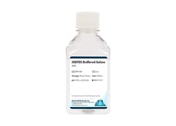 Boston Bioproducts Inc&nbsp;HEPES Buffered Saline (2X) - 500ml