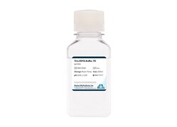 Boston Bioproducts Inc&nbsp;Tris-EDTA Buffer, TE (pH 8.0) - 250ml