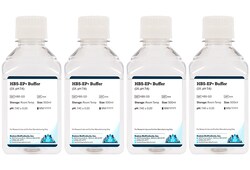 Boston Bioproducts Inc&nbsp;HBS-EP+ Buffer (1X, pH 7.4) - 4x500ml