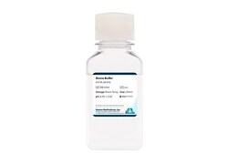 Boston Bioproducts Inc&nbsp;Bicine Buffer (0.5 M, pH 8.5) - 250ml