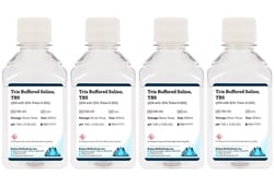 Boston Bioproducts Inc&nbsp;Tris Buffered Saline, TBS (10X with 10% Triton X-100) - 4x500ml