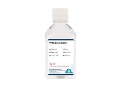 Boston Bioproducts Inc&nbsp;WBC Lysis Buffer - 500ml