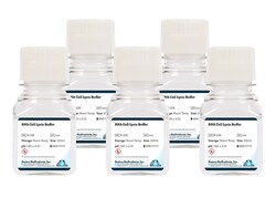 Boston Bioproducts Inc&nbsp;RNA Cell Lysis Buffer - 5x100ml