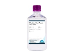 Boston Bioproducts Inc&nbsp;Nuclease Free Water (DEPC Treated) - 1L