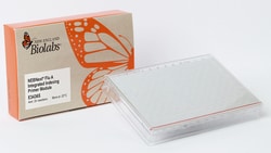 New England Biolabs, Inc.&nbsp;NEBNext Flu A Integrated Indexing Primer Module - 48 reactions