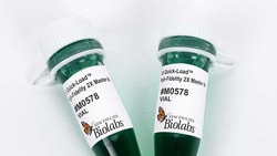 New England Biolabs, Inc.&nbsp;Q5 Quick-Load&trade; High-Fidelity 2X Master Mix - 500 reactions