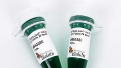 New England Biolabs, Inc.&nbsp;Q5 Quick-Load&trade; Hot Start High-Fidelity 2X Master Mix - 500 reactions