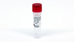 New England Biolabs, Inc.&nbsp;Trypsin-ultra&trade;, Mass Spectrometry Grade (Recombinant) - 1000 units