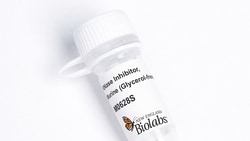 New England Biolabs, Inc.&nbsp;RNase Inhibitor, Murine (Glycerol-free) – 3000 units