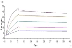 Kactus Recombinant Human CDCP1 Protein is expressed from HEK293 with His