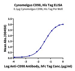 Kactus&nbsp;Recombinant Cynomolgus CD98 Protein is expressed from HEK293 with His tag at the N-terminus.It contains Arg175-Ala599.