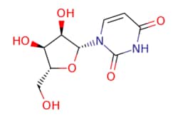 eMolecules​&nbsp;58-96-8 | Uridine | Ambeed | MFCD00006526 | 244.203 | C9H12N2O6 | 98.000 | OC[C@H]1O[C@H]([C@H](O)[C@@H]1O)n1ccc(=O)[nH]c1=O | 25g | 552569486