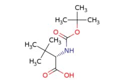 eMolecules​&nbsp;62965-35-9 | (2S)-2-[(tert-butoxy)carbonyl]amino-3,3-dimethylbutanoic acid | Pharmablock231.292 | C11H21NO4 | 97.000 | CC(C)(C)OC(=O)N[C@H](C(O)=O)C(C)(C)C | 2.5g | 801514384