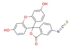 eMolecules​&nbsp;3326-32-7 | Fluorescein isothiocyanate isomer I | Ochem Incorporation | MFCD00005063 | 389.380 | C21H11NO5S | 96.000 | Oc1ccc2c(Oc3cc(O)ccc3C22OC(=O)c3cc(ccc23)N=C=S)c1 | 1g | 773137907