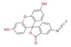eMolecules​&nbsp;3326-32-7 | Fluorescein isothiocyanate isomer I | Ochem Incorporation | MFCD00005063 | 389.380 | C21H11NO5S | 96.000 | Oc1ccc2c(Oc3cc(O)ccc3C22OC(=O)c3cc(ccc23)N=C=S)c1 | 0.25g | 773137906